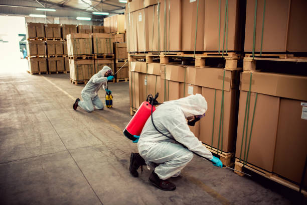 Best Termite Control Services  in Hudson Falls, NY