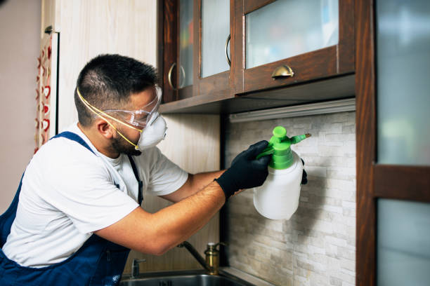 Best Residential Pest Control  in Hudson Falls, NY
