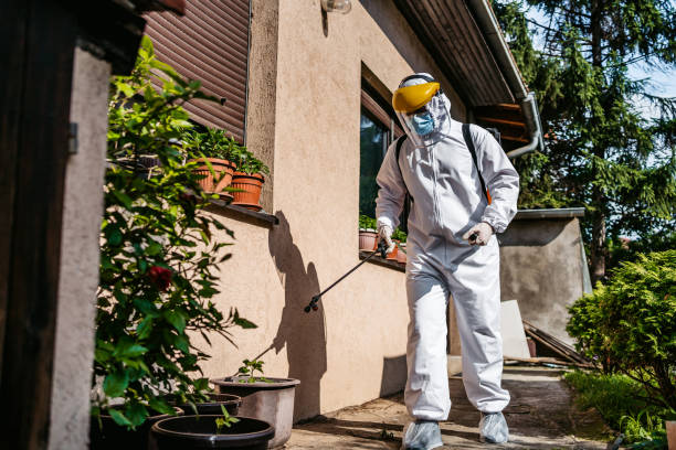Pest Control for Restaurants in Hudson Falls, NY