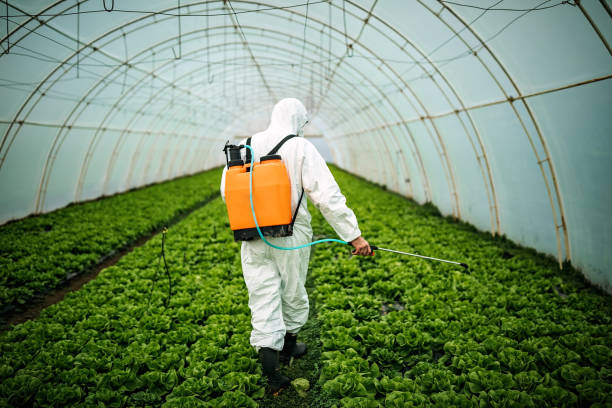 Best Best Pest Control Companies  in Hudson Falls, NY