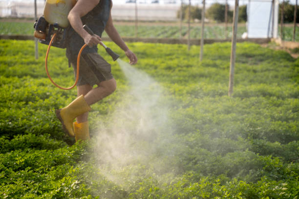 Best Local Pest Control Services  in Hudson Falls, NY