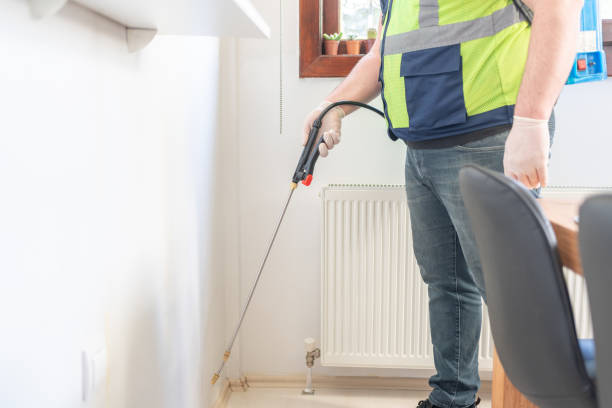 Best Emergency Pest Control  in Hudson Falls, NY