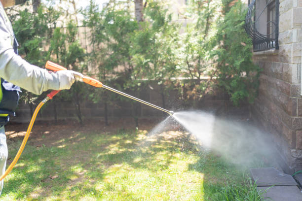 Pest Control Cost in Hudson Falls, NY