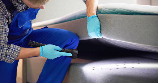 Best Affordable Pest Control Services  in Hudson Falls, NY