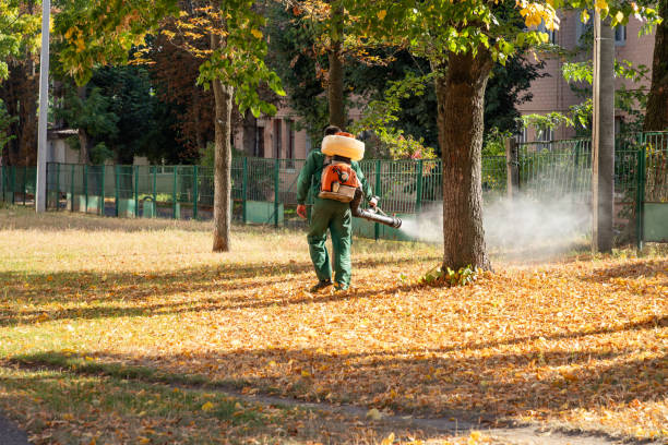 Bird Control in Hudson Falls, NY