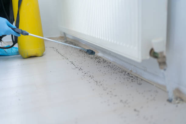 Best Wildlife Control Services  in Hudson Falls, NY