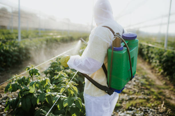 Best Affordable Pest Control Services  in Hudson Falls, NY